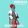 Download track Wabalikhaya