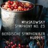 Download track Symphony No. 25 In D-Flat Major: III. Allegro Impetuoso - Adagio Con Elevazione