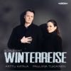 Download track Winterreise, Op. 89, D. 911: No. 19, Täuschung