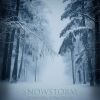 Download track Snowstorm