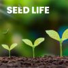 Download track Growing Seeds