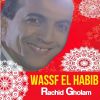 Download track Wassf El Habib