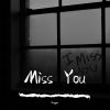 Download track Miss You (Extended)