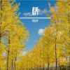 Download track 心如花一样在展放