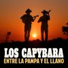 Download track El Gabán, La Gabana Y La Paloma