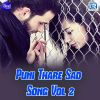 Download track He Phaguna Tume Gala Pare Pare