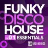 Download track Make It Funky (Original Mix)