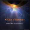 Download track Place Of Harmony