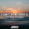 Download track I'cant Do Without U