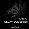 Download track Delay DUB Bro (Original Mix)