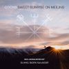 Download track Sweet Sunrise On Meiling (DJ Who Miami Sunset Remix)