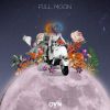 Download track Full Moon (Instrumental)