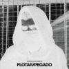 Download track Flotar