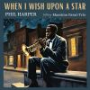 Download track When You Wish Upon A Star