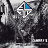 Download track Caminante