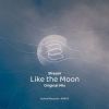 Download track Like The Moon