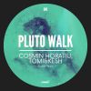 Download track Pluto Walk (Original Mix)