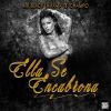 Download track Ella Se Encabrona (El Champo)