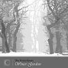 Download track The Depths Of Winter