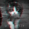 Download track Little Kitty