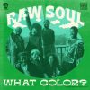 Download track What Color (Instrumental)