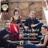 Download track String Quartet In B-Flat Major, Op. 18, No. 6: I. Allegro Con Brio