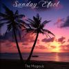 Download track Sunday Effect (Saturday Conga Dub)