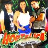 Download track Motinha