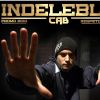 Download track Indeleble