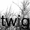 Download track Twig Five