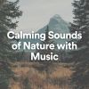Download track Calm Nature Sounds With Music, Pt. 54