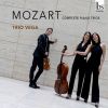 Download track Piano Trio No. 6 In G Major, K. 564: II. Andante Con Variazioni'