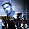 Download track Picture Perfect (StoneBridge L'Ille Soleil Radio)