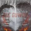 Download track Trap Prophet Freestyle