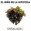 Download track Ensaladas