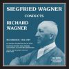 Download track Götterdämmerung, WWV 86D Siegfried's Rhine Journey