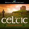 Download track Enchanted Celtic Mist - Relaxing Celtic Harp Music & Magical Nature Ambiance (Loopable)
