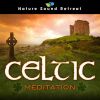 Download track Danny Boy In The Rain - Relaxing Celtic Harp Music