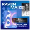 Download track The Real Life (David Penn Remix)