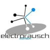 Download track Electrorausch