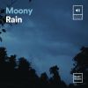 Download track Moony Rain, Pt. 13