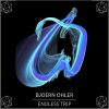 Download track Endless Trip (Original Mix)