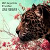 Download track Love Forever (Jako Diaz Remix)