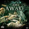 Download track Am I Awake?