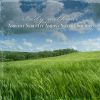 Download track Ambient Serenity Amidst Nature Sounds, Pt. 1