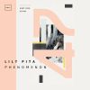 Download track Phenomenon (GuyRo 2-Pole SEM Remix)