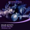 Download track Black Orchid (Original Mix)