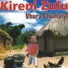 Download track Zvauri