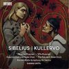 Download track Kullervo, Op. 7- II. Kullervo's Youth