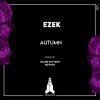 Download track Autumn (Blank Pattern Remix)